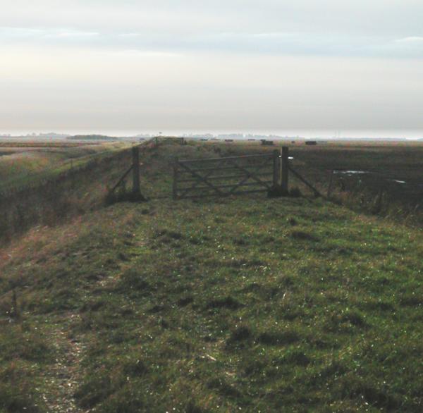 View, along the sea bank, north of Kings Lynn 